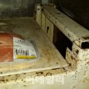 수입마트