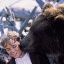 빅 베어 이미지