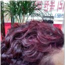 김미경헤어샵 - 부평구 | 김미경헤어샵