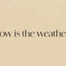 THE(더)세탁 이미지