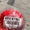 다리간로 네이버블로그