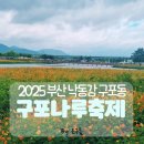 담주할머니 | 2025 구포나루축제 다녀온 후기(무료체험, 쿠키, 셔틀버스)