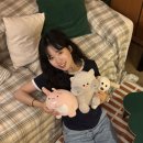 제현 | [방탈출] 강남 무비무드 &#39;Cat&#39;s lock(캣츠락)&#39; 후기｜키가 말아주는 테이블방탈출과 모노룸 그 사이...