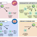 Tolerogenic Dendritic Cell-Based Approaches in Autoimmunity 이미지
