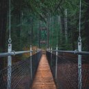 프라임모터스 이미지