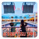 이매지네이션 | 싱가포르 디즈니 어드벤처 크루즈 30% 할인 예약 팁 후기 및 픽시더스트 방법