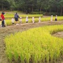 도심속에하루 이미지