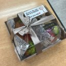 [2차시험][34기/생유예/대학생] 평균60.41합격수기/ 이수진(55.12)윤성봉(63.63)김유미(59.92)김유미(65.62) 이미지