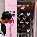 강아지테마미용실 이미지