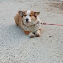 부영2차 후문 이미지