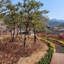 장성백암중학교 이미지