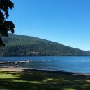 메이플 베이 (maple bay) 이미지