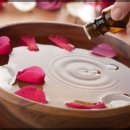 제이 애견 미용 이미지