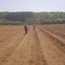 으뜸농장 2 이미지