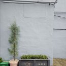 대전고오거리 이미지