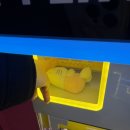 핑미핑미 인형뽑기 이미지