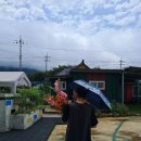 고도민박 이미지