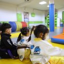 고려용호태권도 이미지