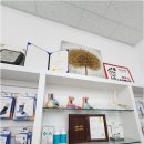 레푸스 호매실점 이미지