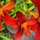 안내 안전문자 차단방법 이미지