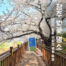 벚나무쉼터 화장실(배봉산) | 2026 청주 무심천 벚꽃 축제 후기 (청주예술제 일정·가수 총정리, 만개 실시간)