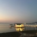 벌떡새우 이미지