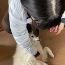 순애커피