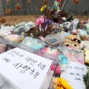 (유) 정인 이미지