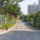 무룡초등학교 이미지