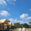 스시 도 이미지