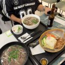 꽃물공원 | 뉴질랜드 여행 1일차 오클랜드 호비튼 호빗마을투어 와이토모동굴 알버트공원 지아포