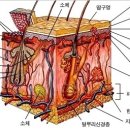 로뎀피부관리 - 전주시 완산구 팔달로 273 | 로뎀피부관리