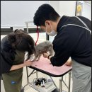 [광명애견미용학원] 최고의 강사진과 최신식 시설로 정확하게 배울 수 있는 그룸빌 애견미용전문학원