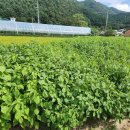 우림중앙공인중개사사무소 이미지