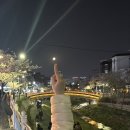 간딴이한잔 | 성신여대 막걸리 맛집 ‘추랑’🍶 | 성북천 벚꽃 보며 한잔하기 좋은 또또또간집 내돈내산 후기