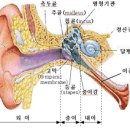 배멀미의 원인과증상 이미지