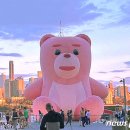 한우랩소디 이미지