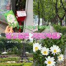 목5동주민센터 | 양천구 EGG 탐험대② - 걷고싶은 거리:목동(feat. 파리공원, 오목공원)