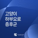 논산계룡축협 동물병원 | 계룡 논산 고양이 동물병원 오줌 못 싸는 고양이 하부요로기증후군 의심