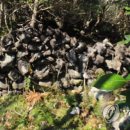 제주 4·3 수악주둔소 이미지