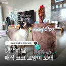 펫쓰리엘 | 🐱고양이의 기호에 맞춘 프리미엄 고양이 모래 "매직 코코 고양이 모래"🐱