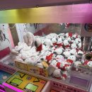 통큰인형뽑기 | 홍대 인형뽑기 캐칭덕 내돈내산 방문후기 초대형인형뽑기