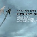 「곤충ノ파충」 아파트 바깥창 안쪽에 붙은 동양하루살이 허물 이미지