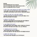 여우하우야영장 이미지