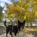 가득농장 이미지