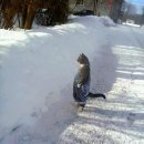 X-FILE PC방 이미지