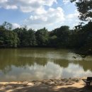 두번째산책 이미지