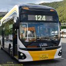 남호그린아파트앞 이미지