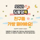 딩동댕독 이미지