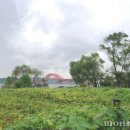 생태공원 이미지